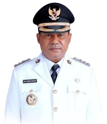 Bupati